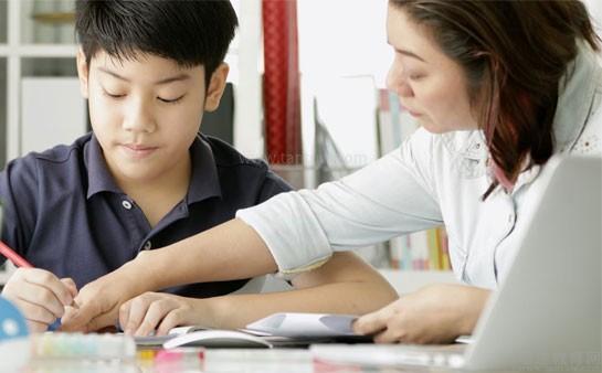 韦德教育 专业教育咨询，赋能学子成长之路